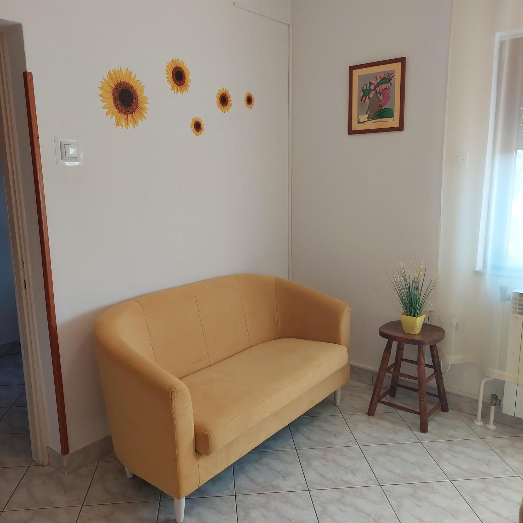 Apartman Branka 라빈 외부 사진