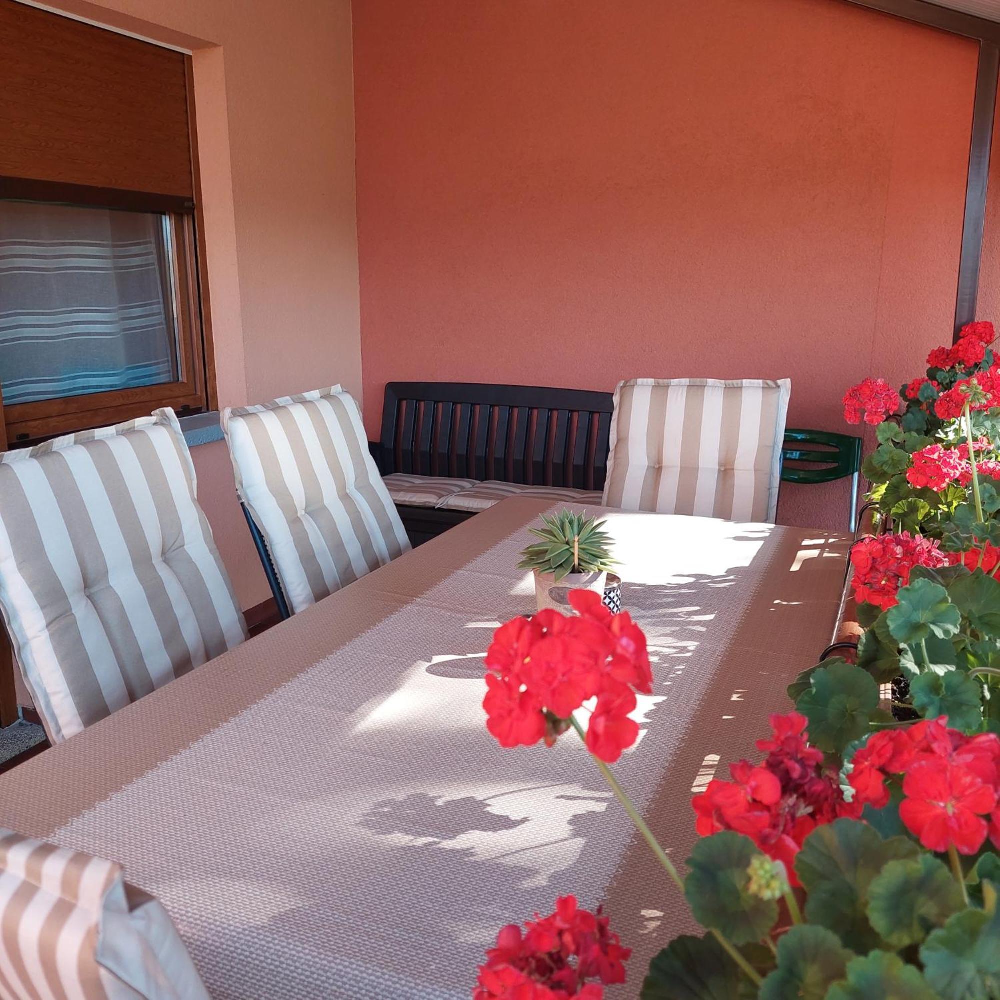 Apartman Branka 라빈 외부 사진